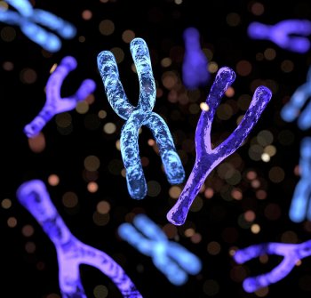 Aberracje chromosomowe na UMED-dzie